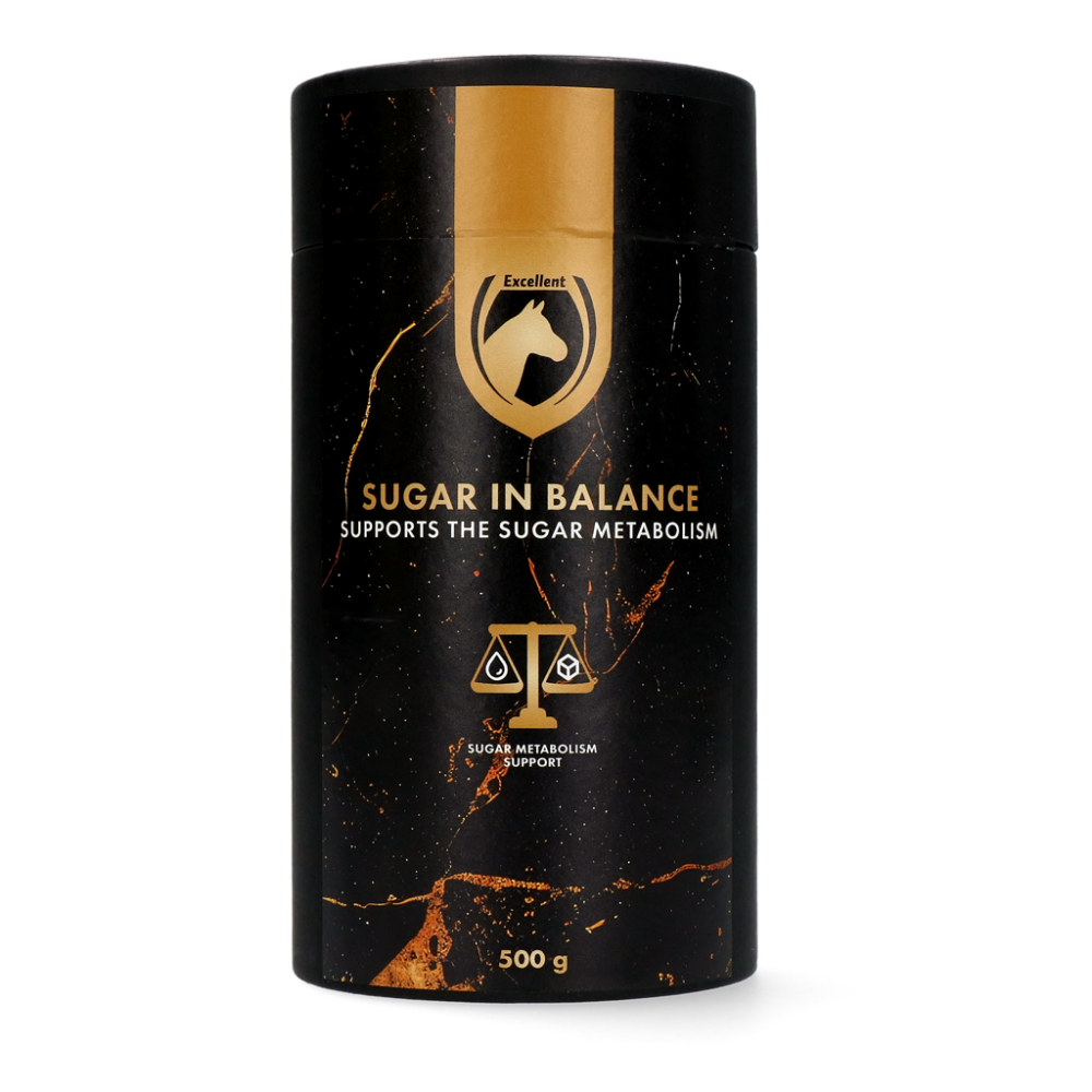 Excellent Horse Sugar in Balance
