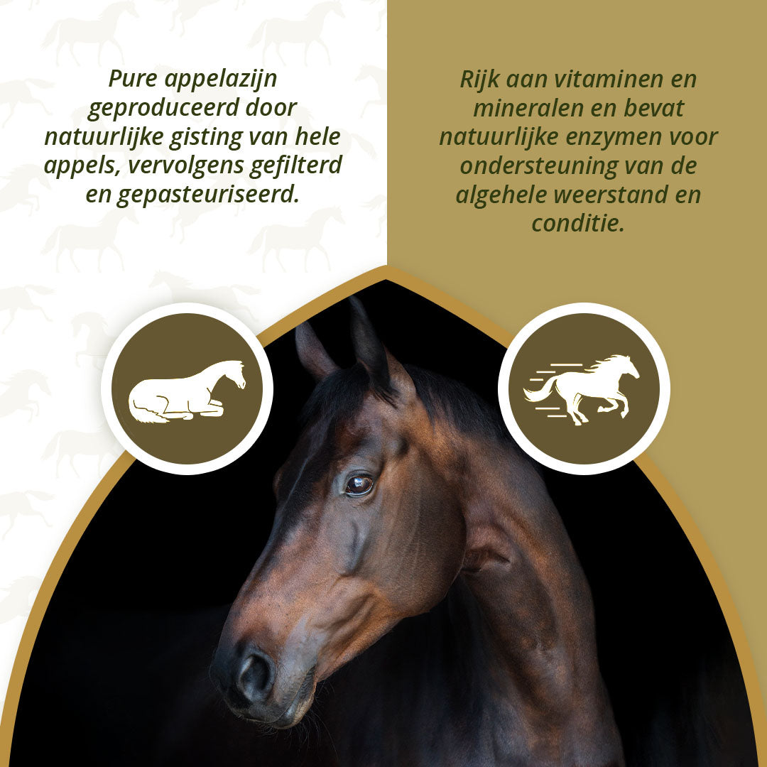 Excellent Horse Apple Vinegar 1 l