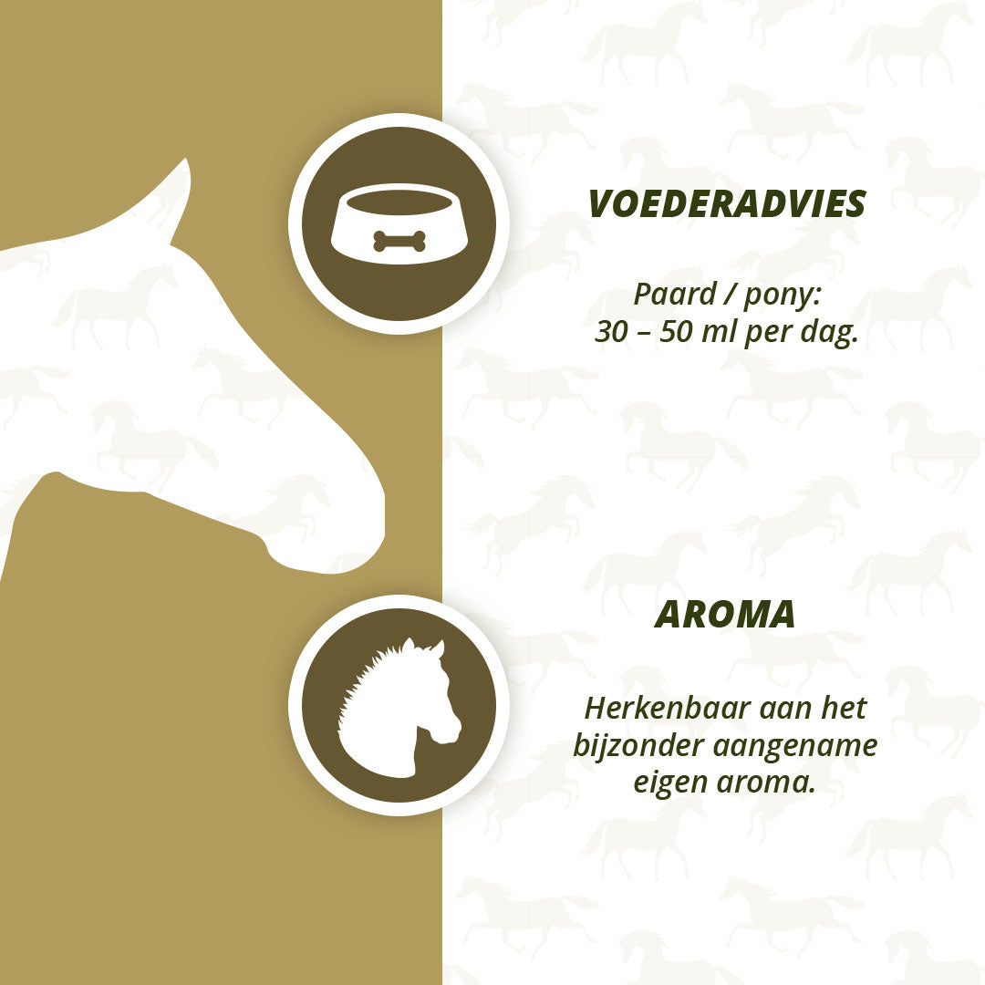 Excellent Horse Apple Vinegar 1 l