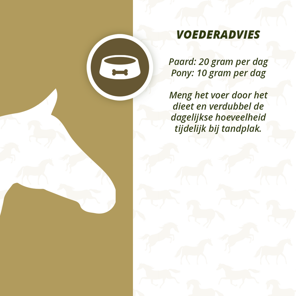 Excellent Horse Dental Care 1 kg