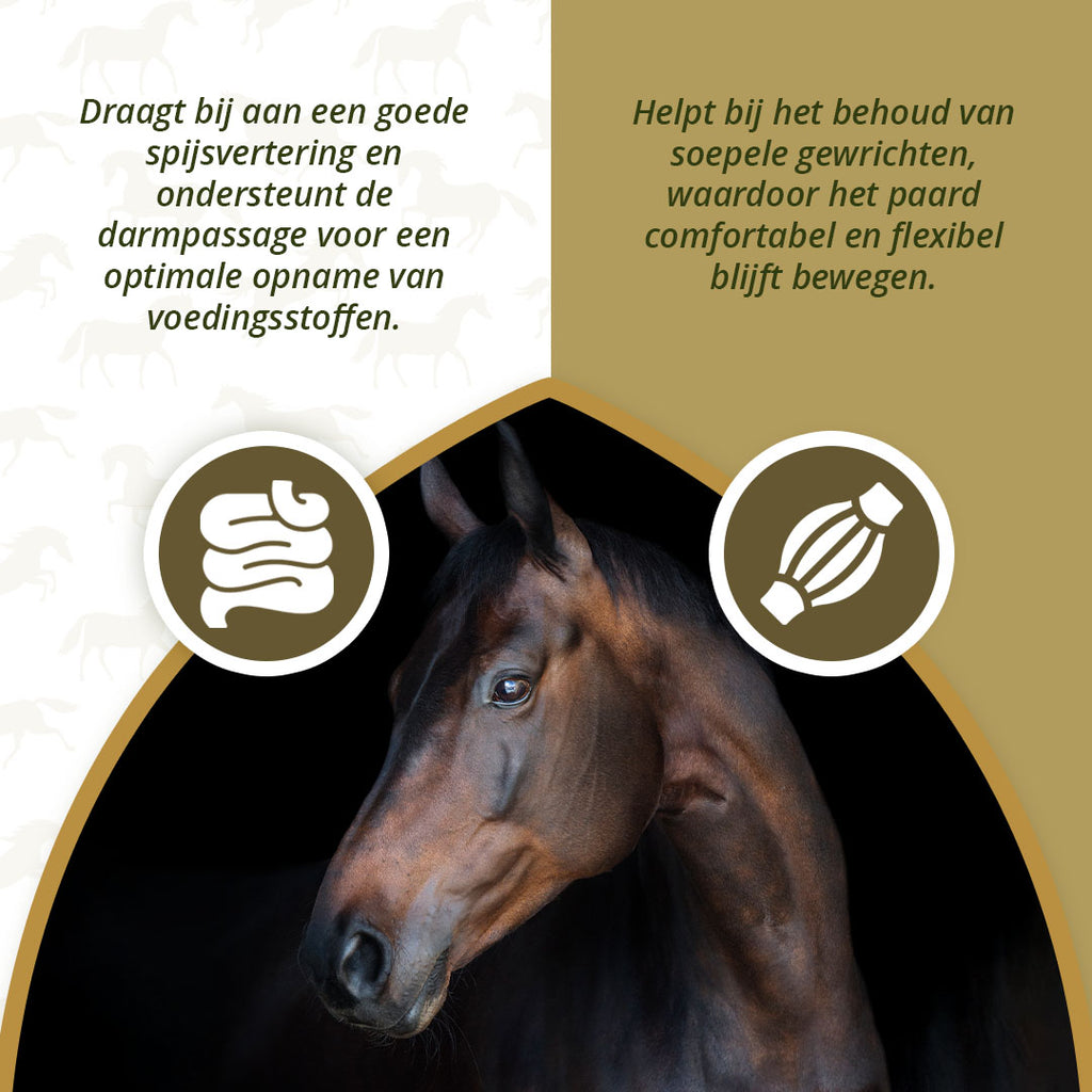 Excellent Horse Omega Boost 1 l