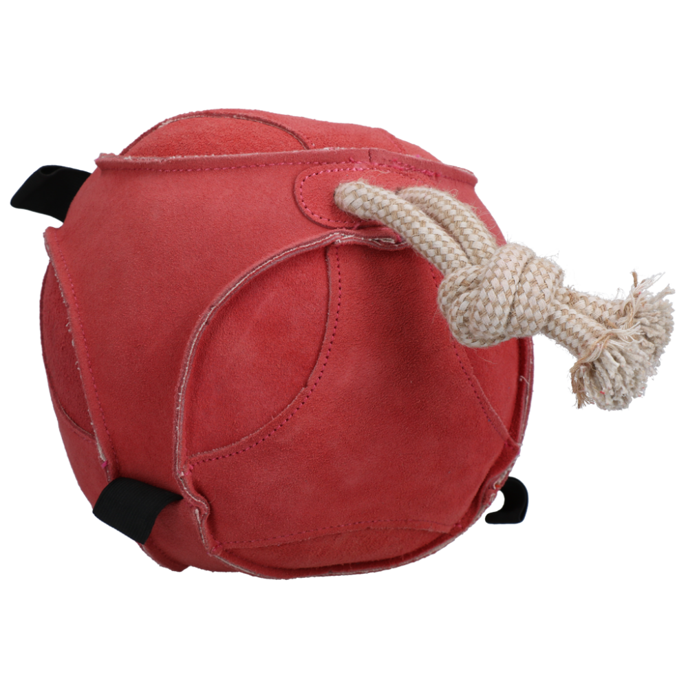 Excellent Horse Fun Play Ball Suede Roze