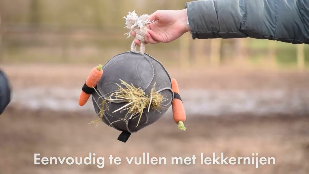 Excellent Horse Fun Play Ball Suede Blauw