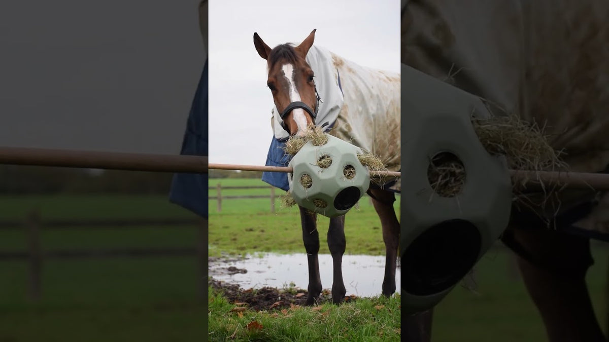 Excellent Horse Feed & Play Ball Groen