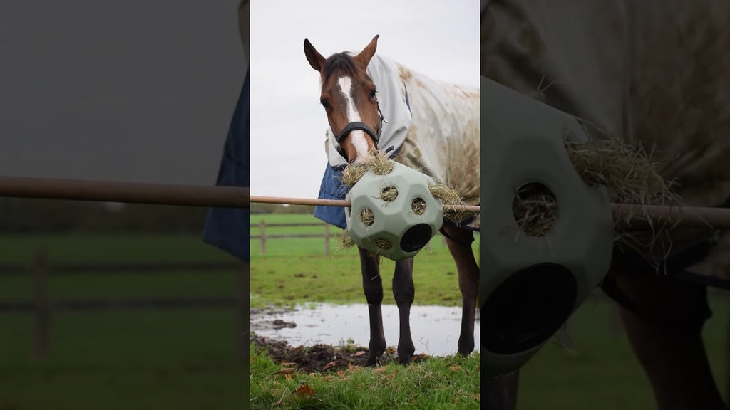 Excellent Horse Feed & Play Ball Zwart
