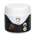 Excellent Horse Green Clay Paste 500 g