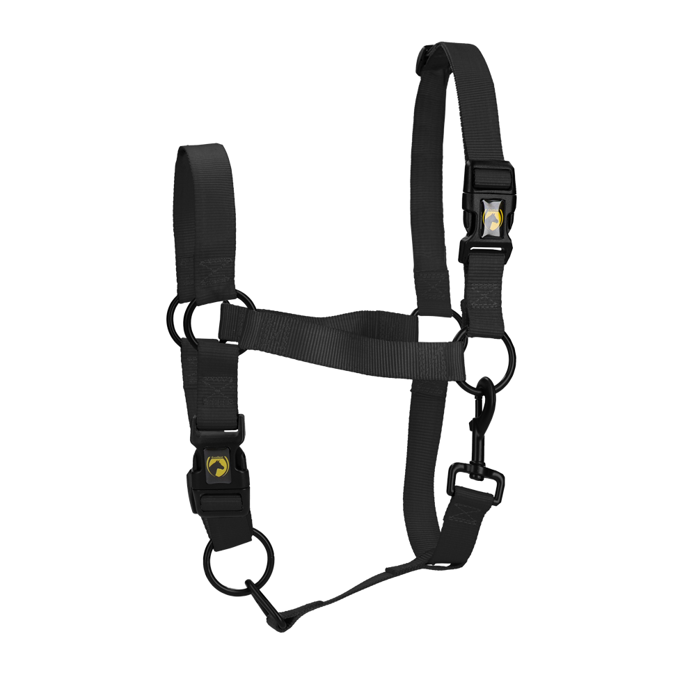 Excellent Essential Halster Zwart XL