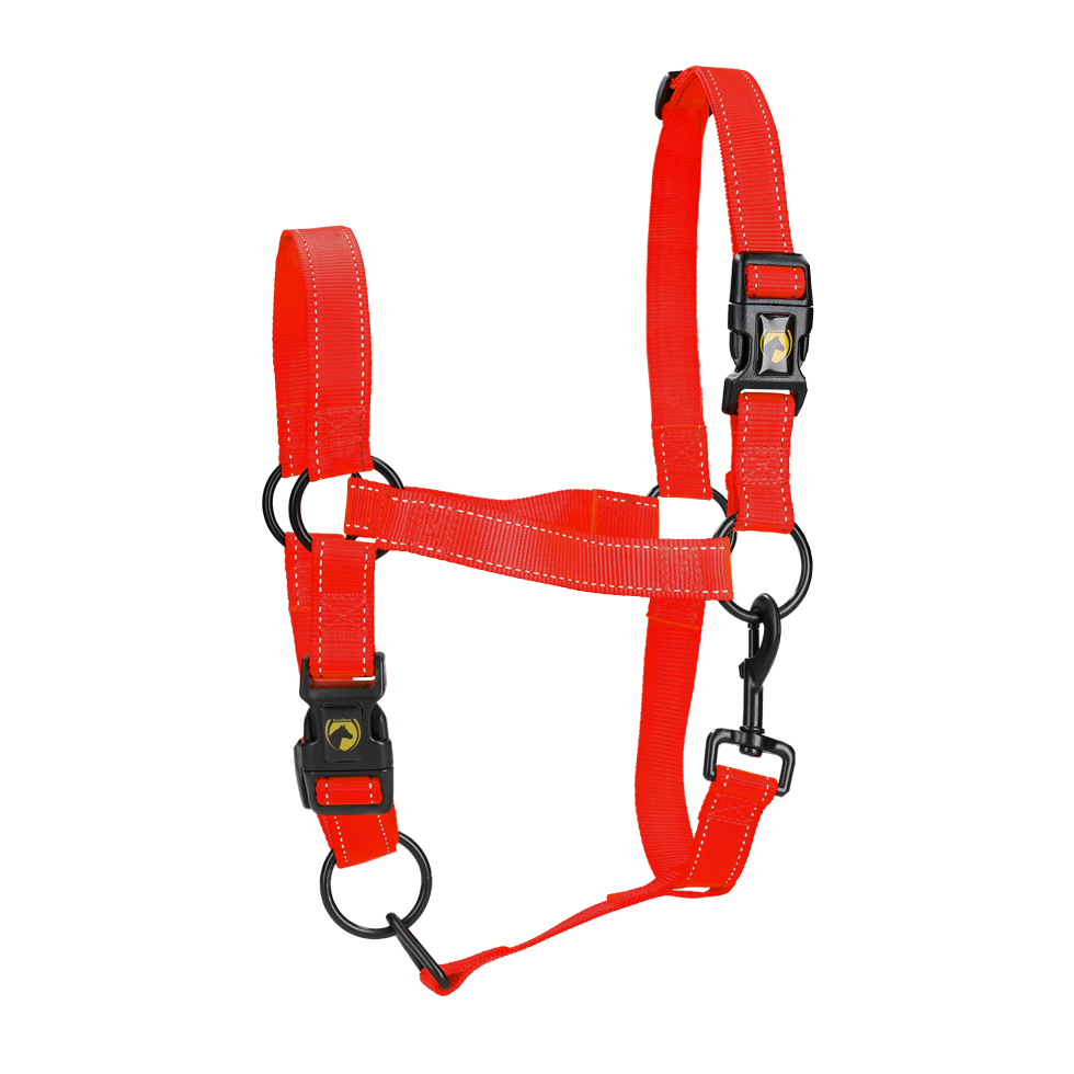 Excellent Premium Halster Rood L