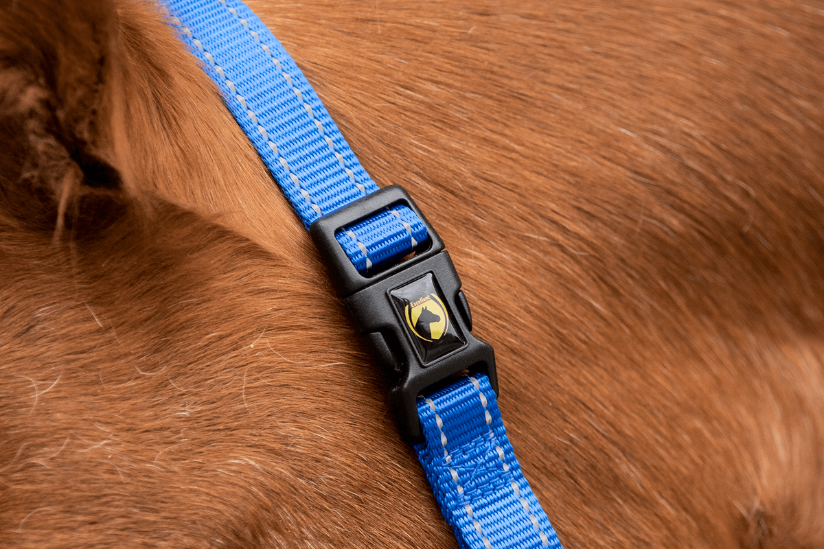 Excellent Superior Halster Blauw XS