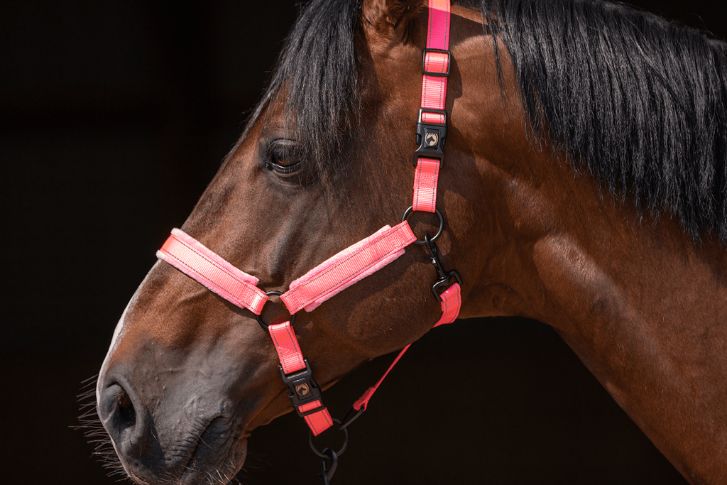 Excellent Superior Halster Roze XS