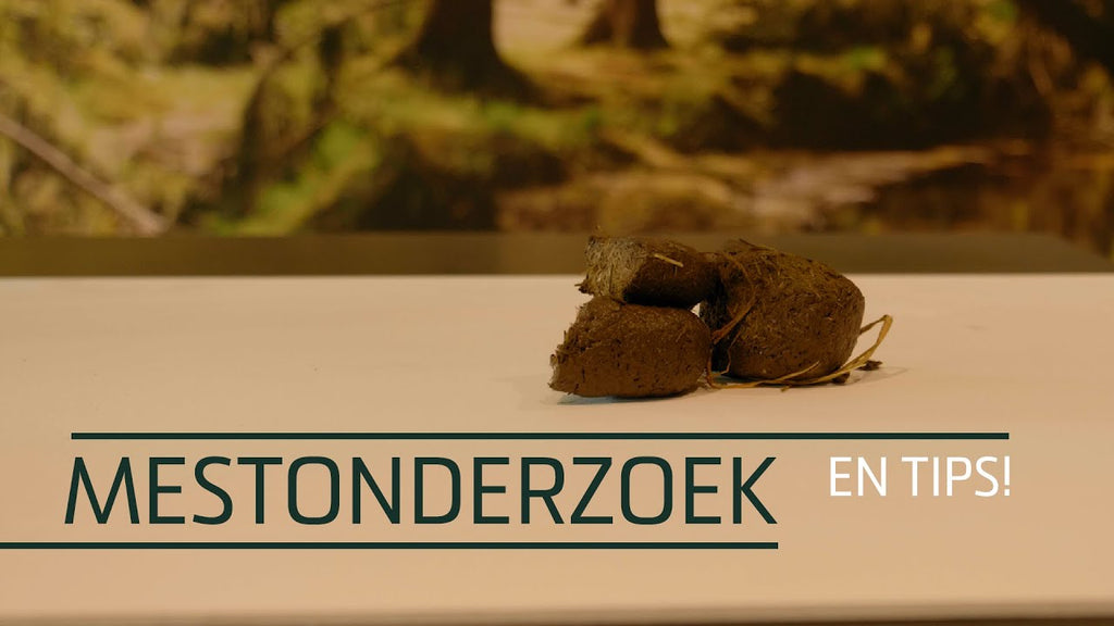 Excellent Horse Herbs Vlozaad