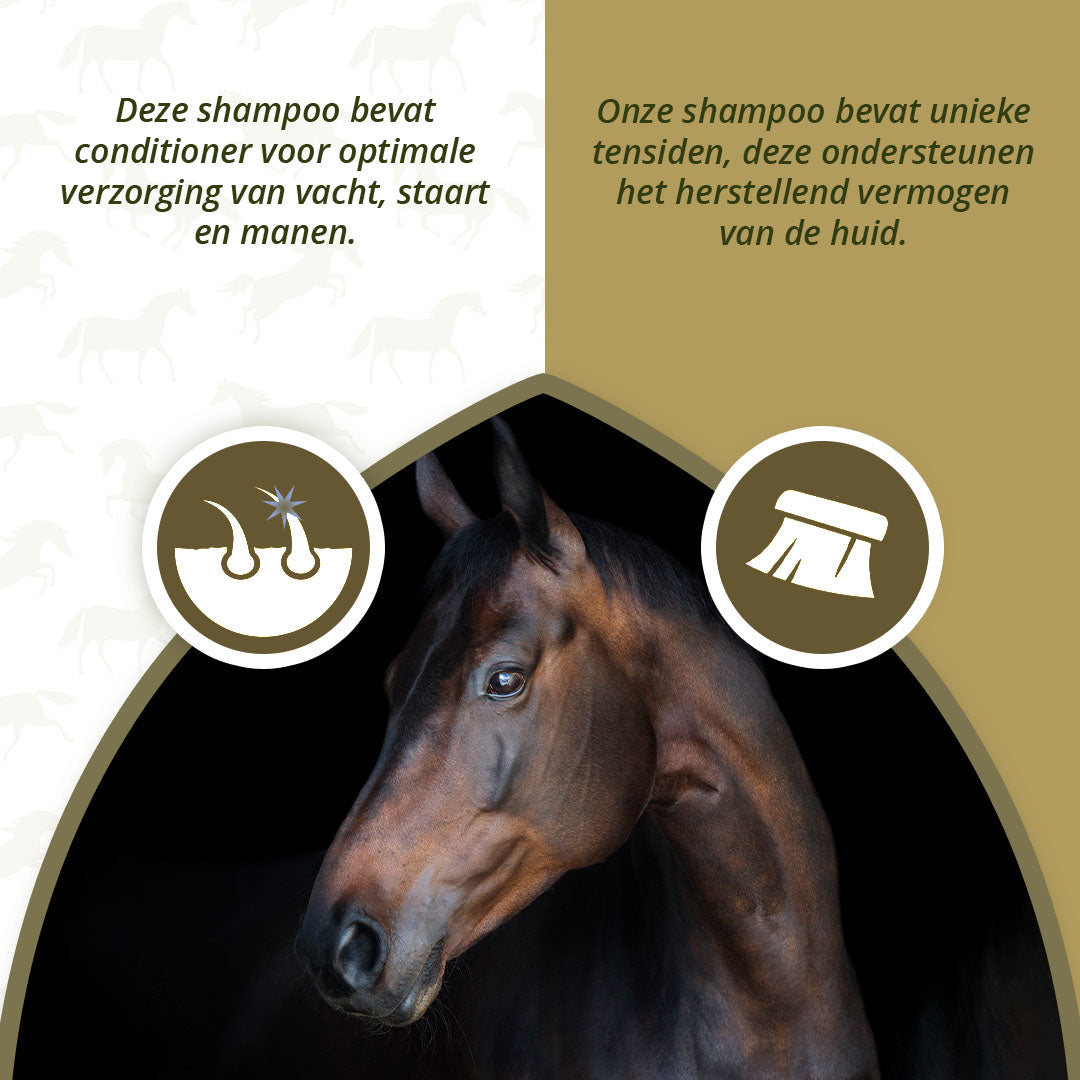 Excellent Horse Hi Gloss Shampoo Lavender 500 ml