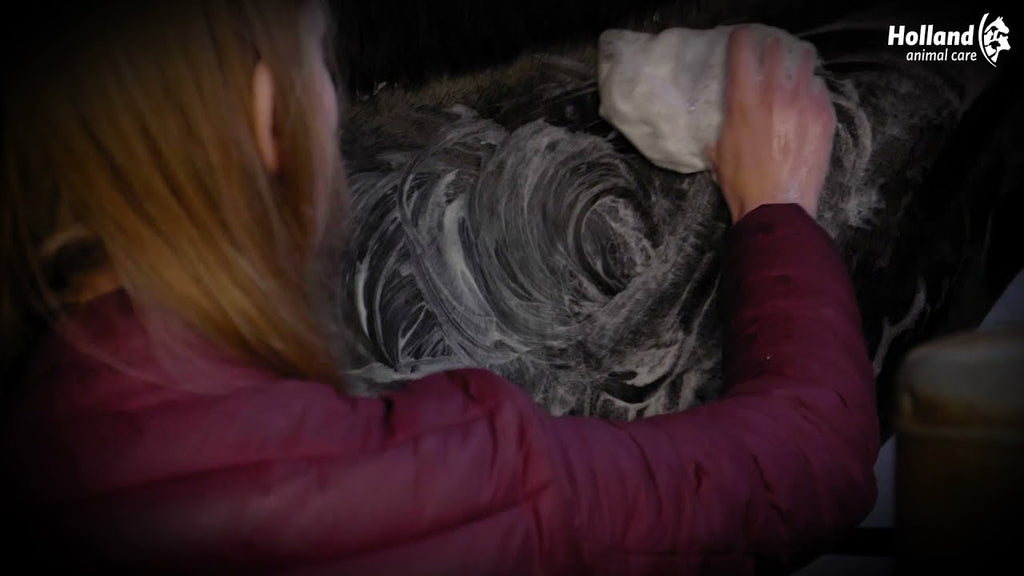Excellent Horse Hi Gloss Shampoo Bar Tea Tree 60 g