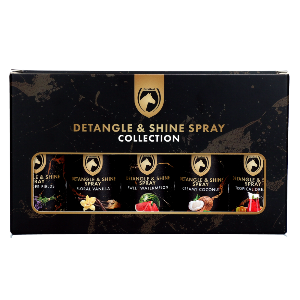 Detangle & Shine Spray Geschenkset 5 x 50 ML