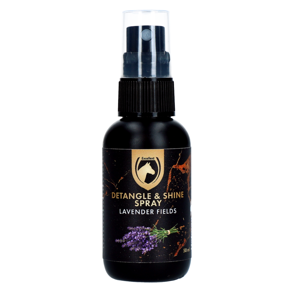 Detangle & Shine Spray Geschenkset 5 x 50 ML