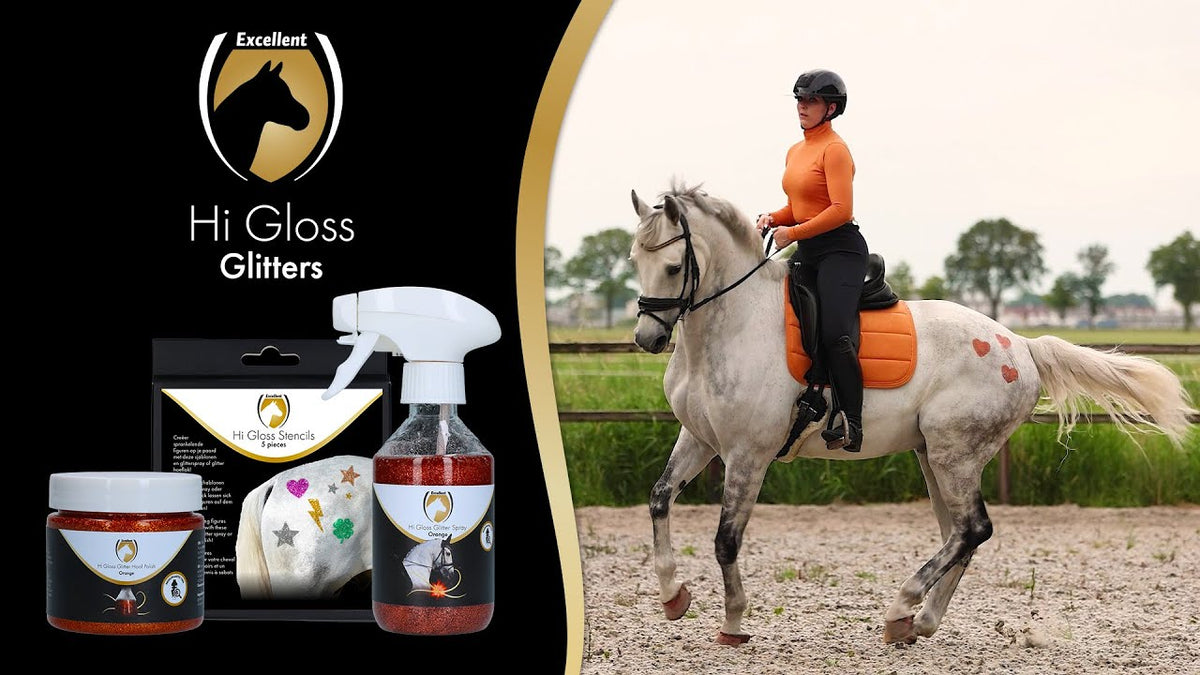 Excellent Horse Hi Gloss Stencils 5 stuks