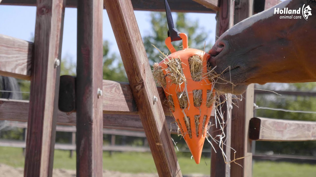 Hay Slow Feeder Fun & Flex Carrot Groen