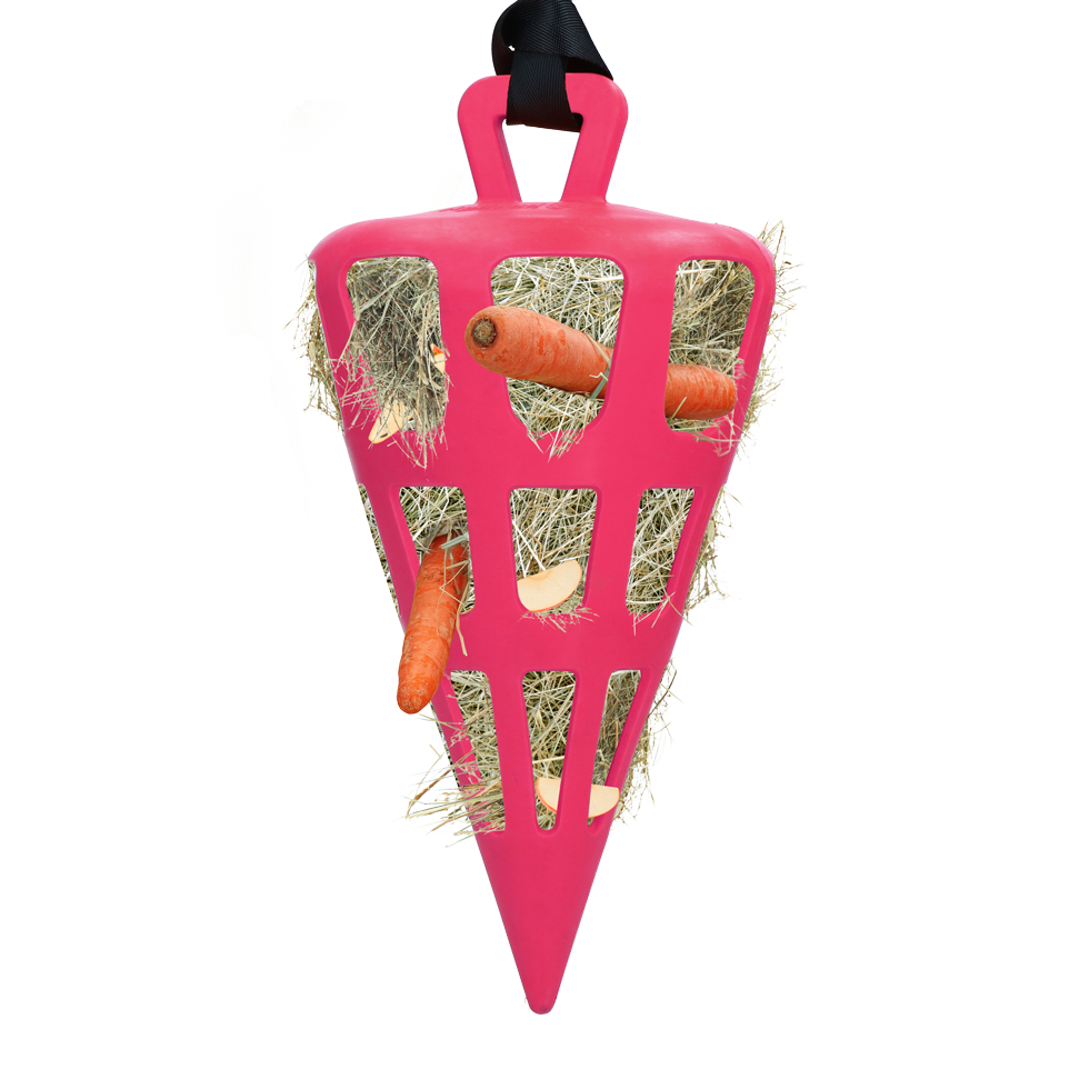 Hay Slow Feeder Fun & Flex Carrot Roze