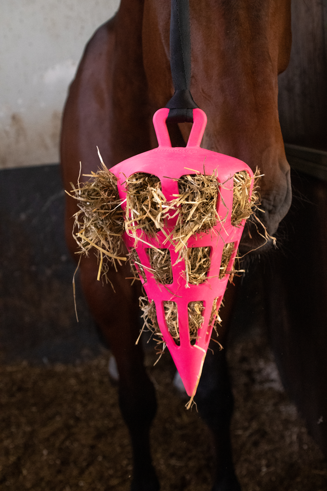 Hay Slow Feeder Fun & Flex Carrot Roze