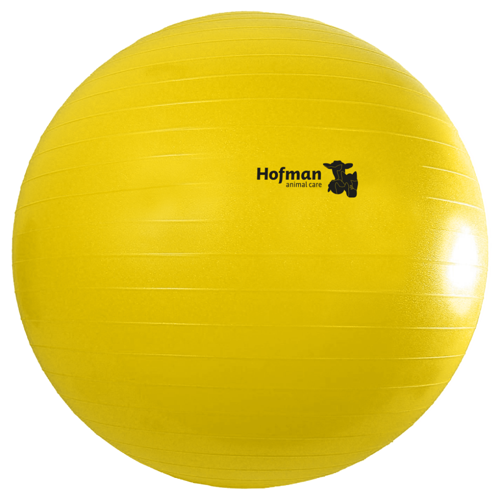 Maximus Power Play Ball 75 cm