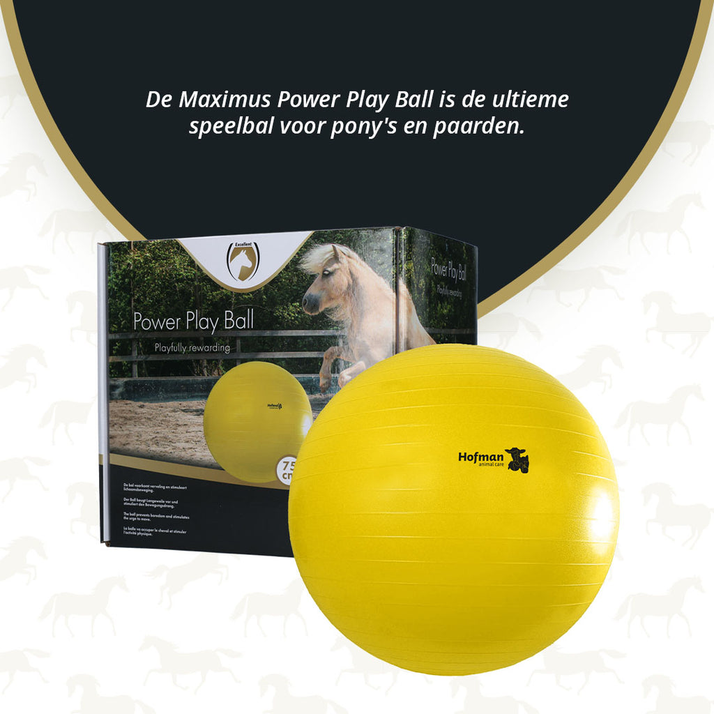 Maximus Power Play Ball 75 cm