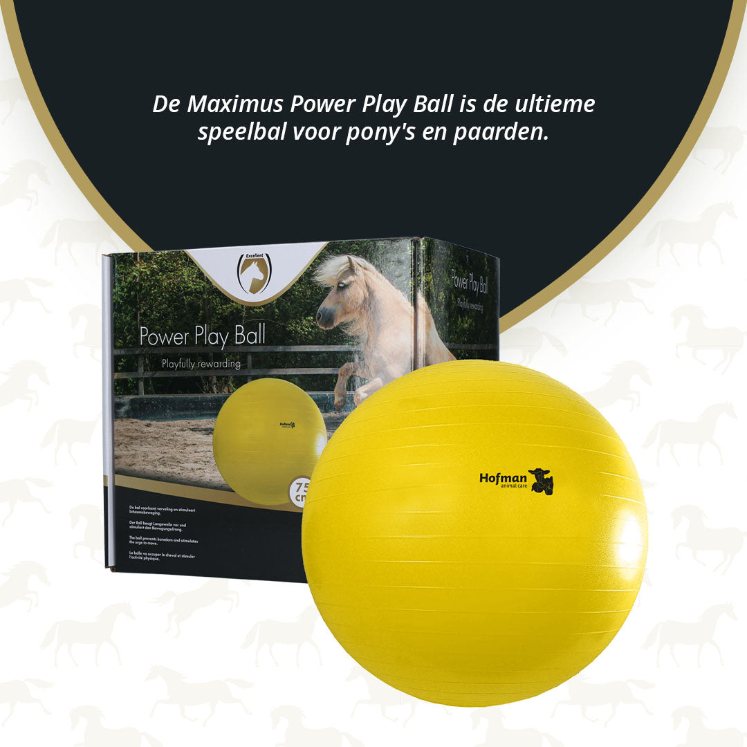 Maximus Power Play Ball 75 cm