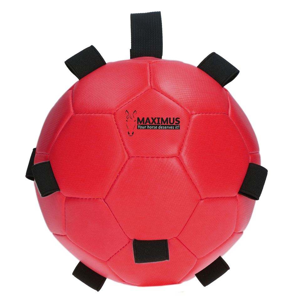 Excellent Horse Fun Play Ball Rood