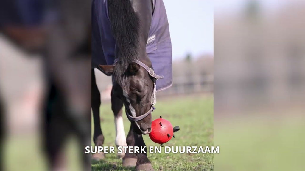 Excellent Horse Fun Play Ball Rood