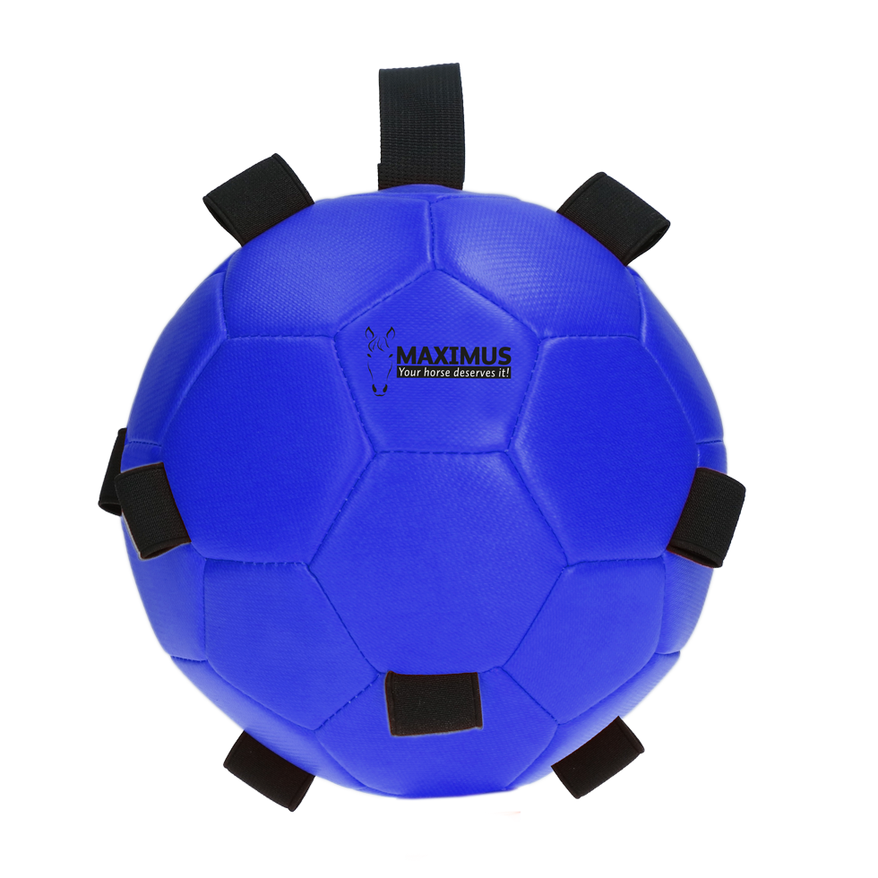 Excellent Horse Fun Play Ball Blauw