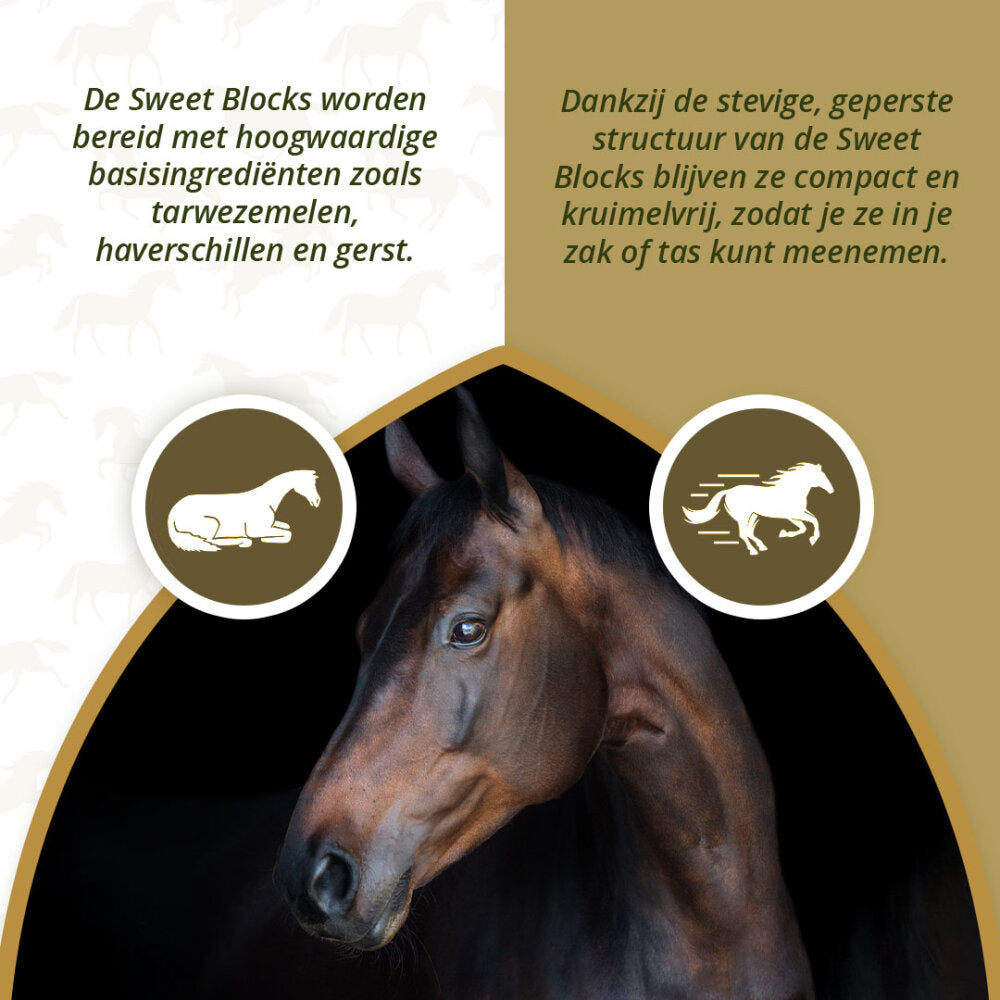 Excellent Horse Sweet Blocks Eucalyptus 1 kg