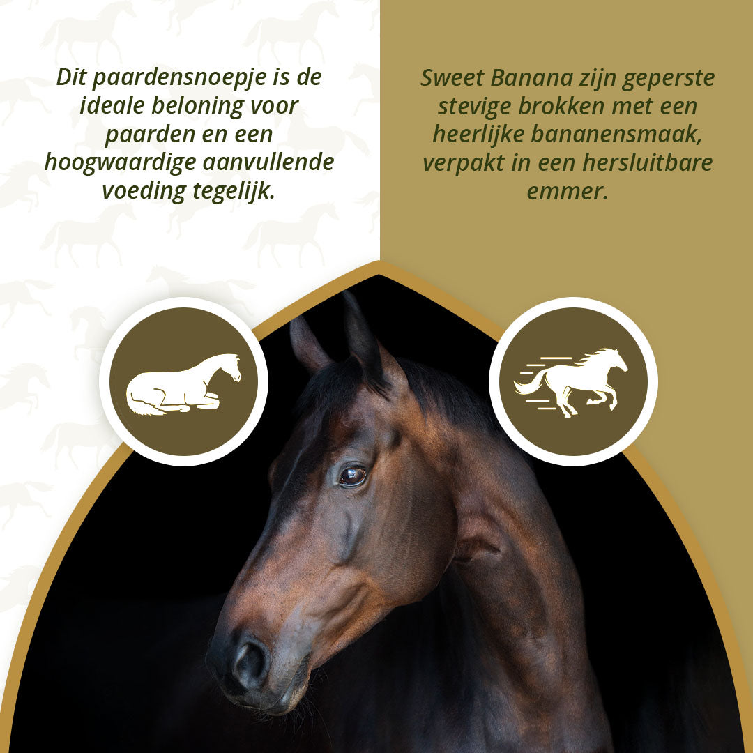 Excellent Horse Sweet Blocks Banana 3 kg