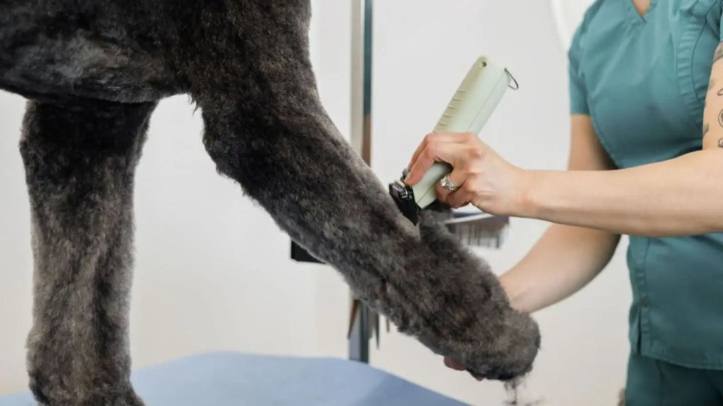 Wahl KMC+ Snoer/Snoerloze Trimmer